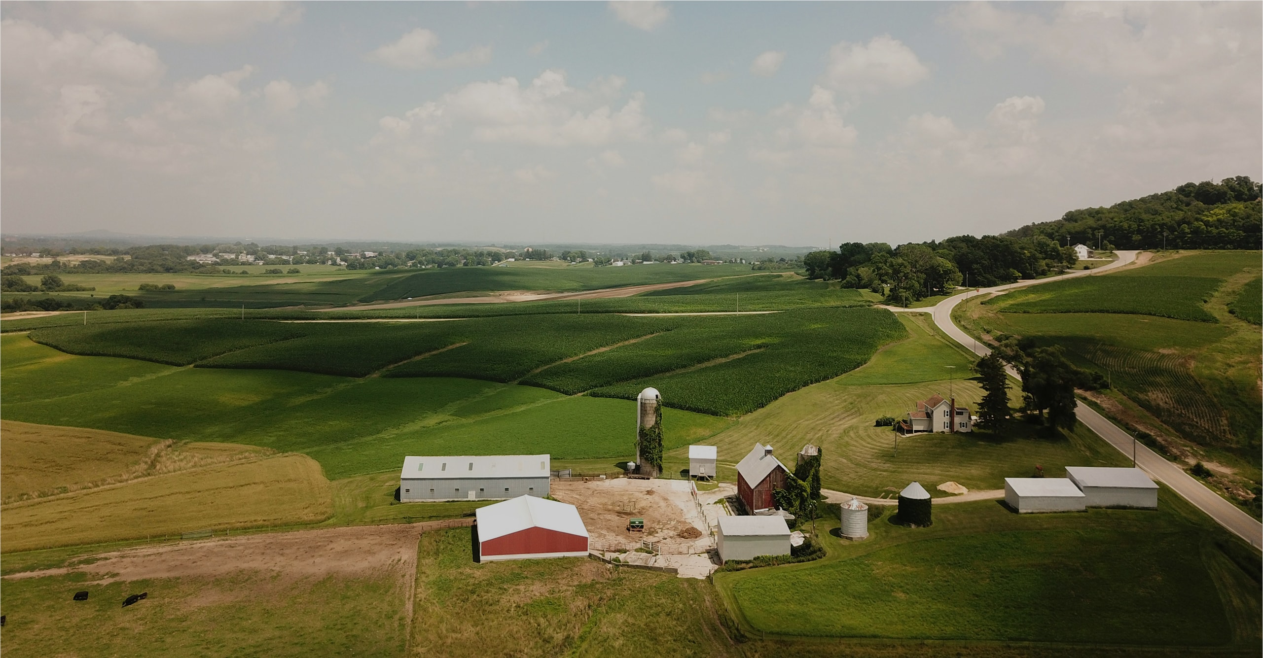A photograph of our farms